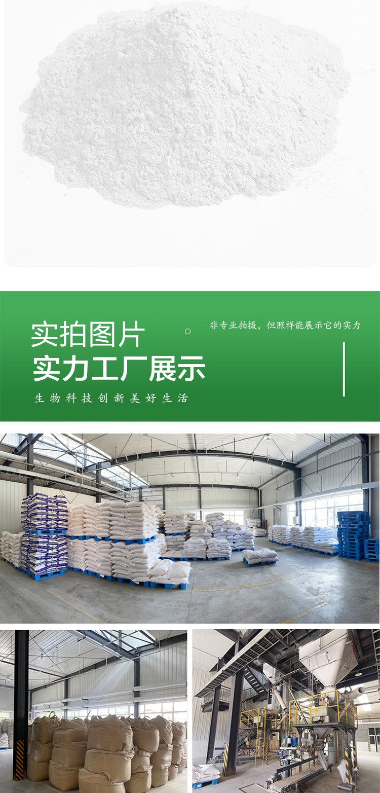 巨大芽孢桿菌 巨大芽孢桿菌