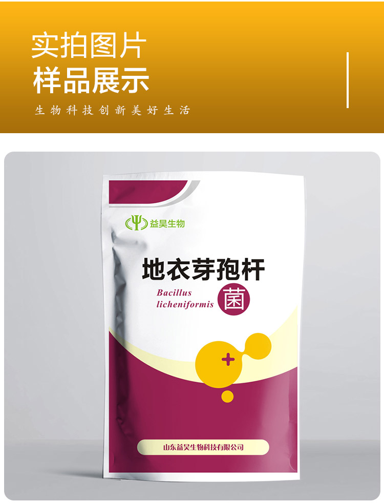 地衣芽孢桿菌 地衣芽孢桿菌