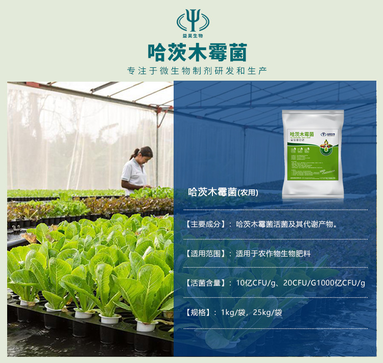 哈茨木霉菌 哈茨木霉菌